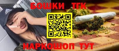 гашик Жуковский
