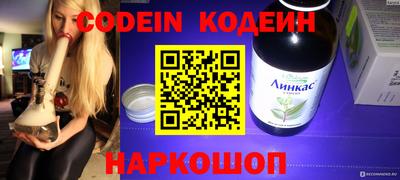 гашик Жуковский