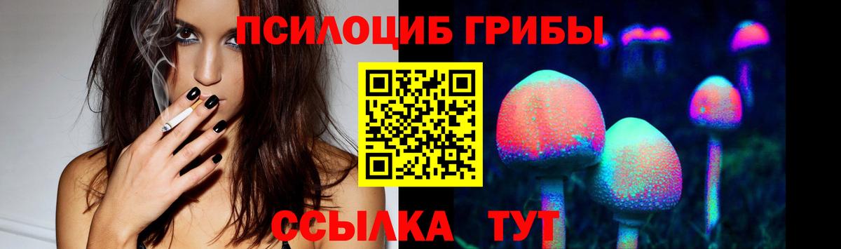 Майский  Псилоцибиновые грибы мухоморы  Галлюциногенные грибы Psilocybe  Вход с VPN 